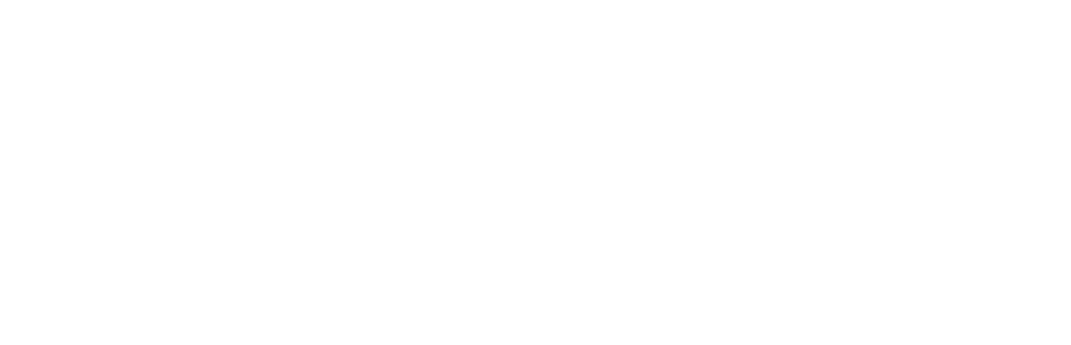 TechnikWunderland Logo